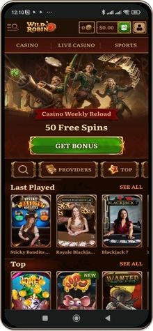 wildrobin casino Gameplay